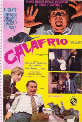 Calafrio / Willard Torrent