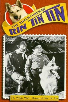 As Aventuras de Rin Tin Tin - 1ª Temporada Download